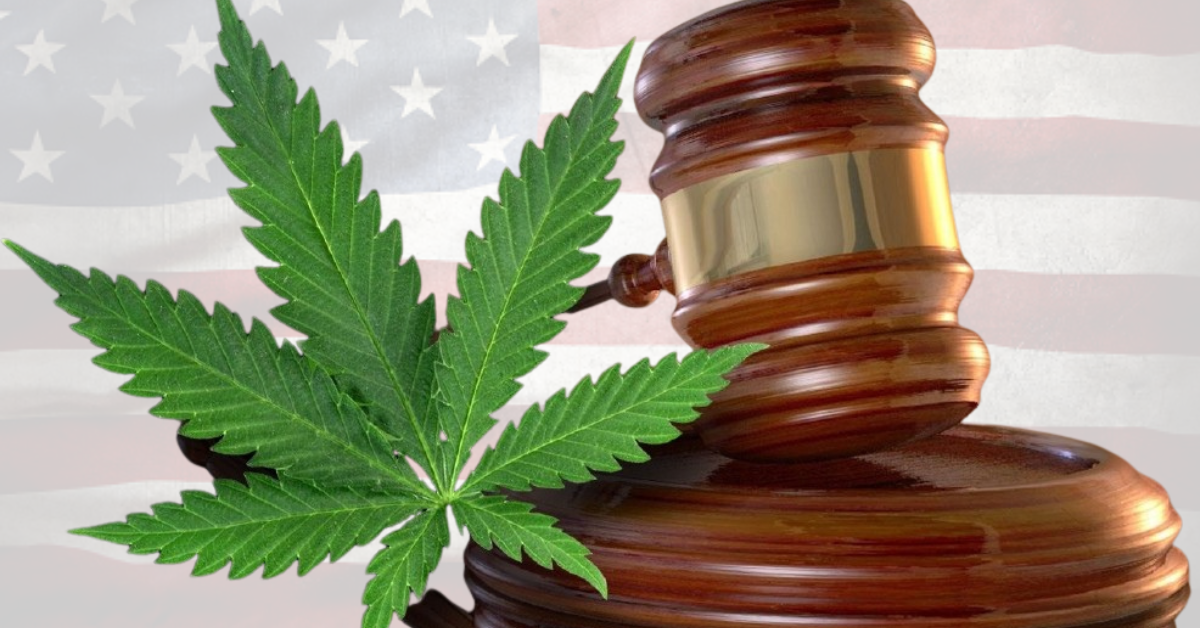 Circut Court Decision on Medical Marijuana Users Owning Firearms